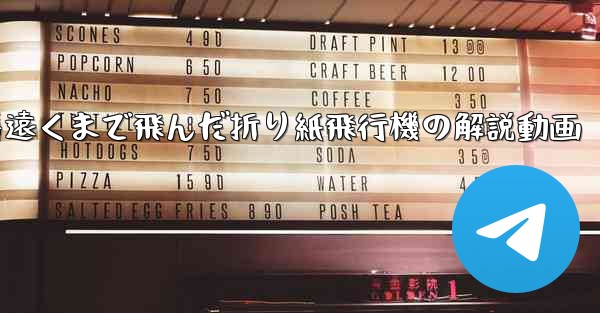 一番遠くまで飛んだ折り紙飛行機の解説動画