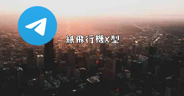 紙飛行機X型