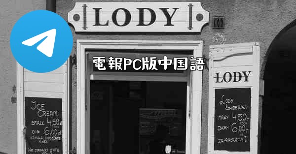 電報PC版中国語