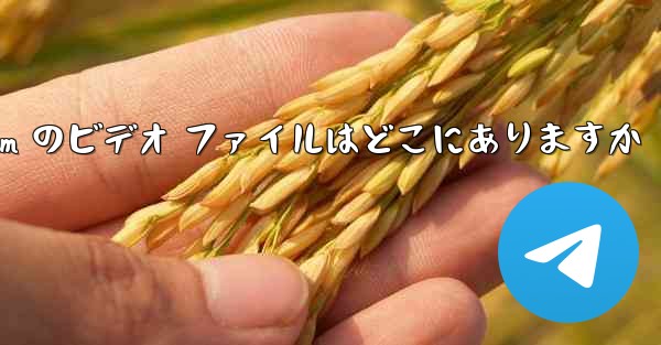 Telegram のビデオ ファイルはどこにありますか